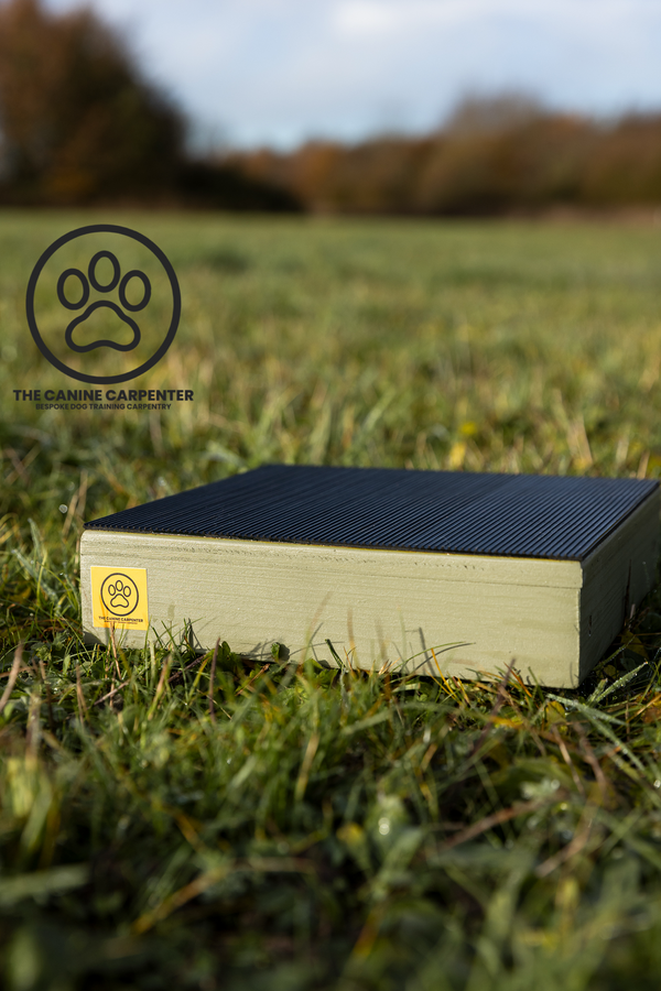 Dog Training Pivot Box