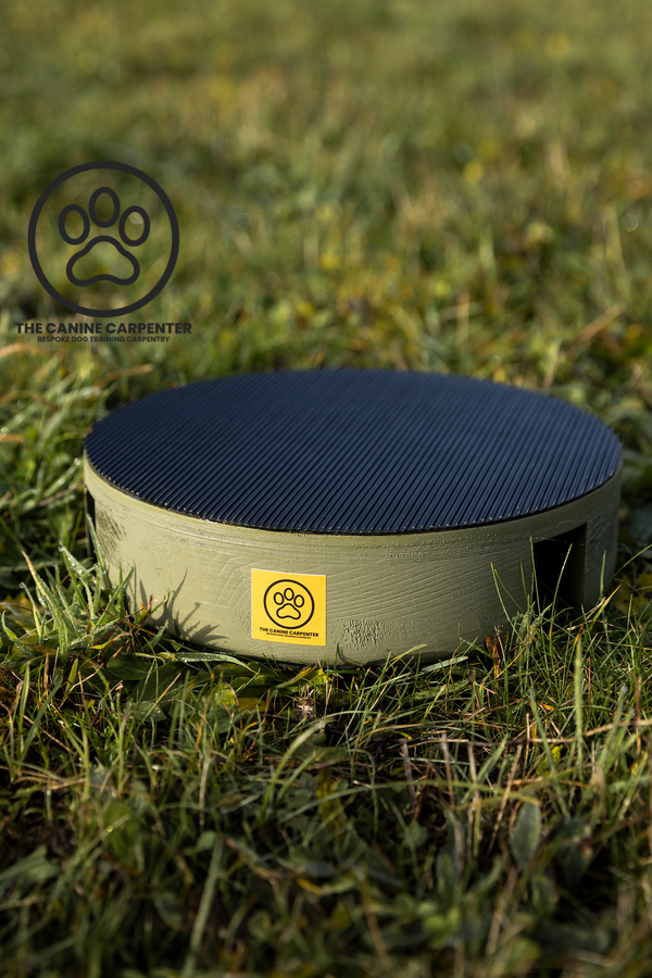 Dog Training Pivot Box