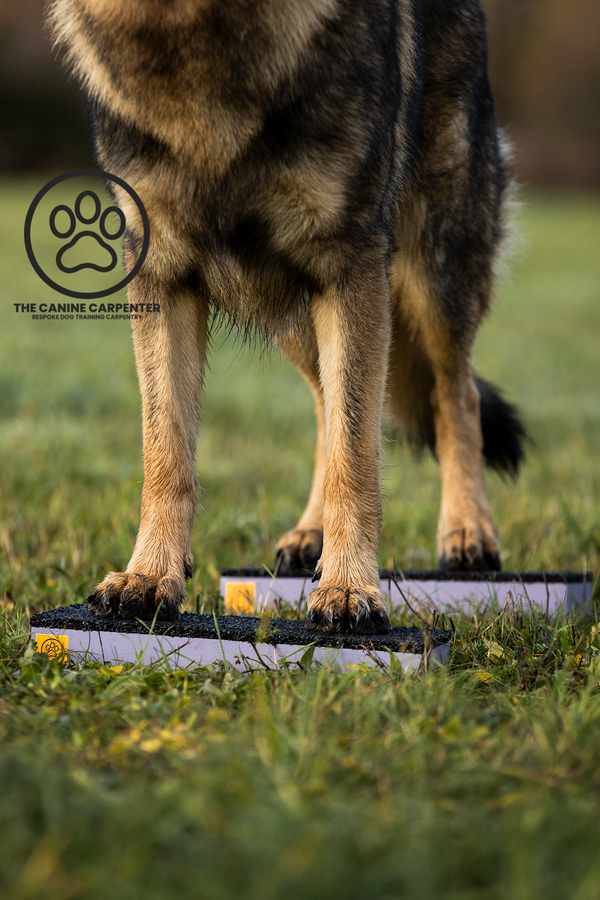 Dog Strength & Conditioning Blocks