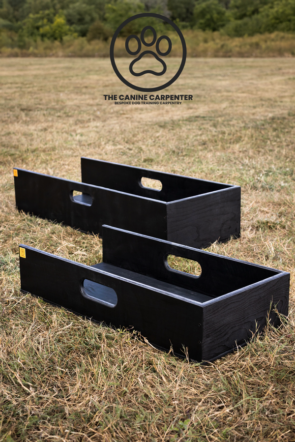 What is a Dog Positions Box? A Complete Guide