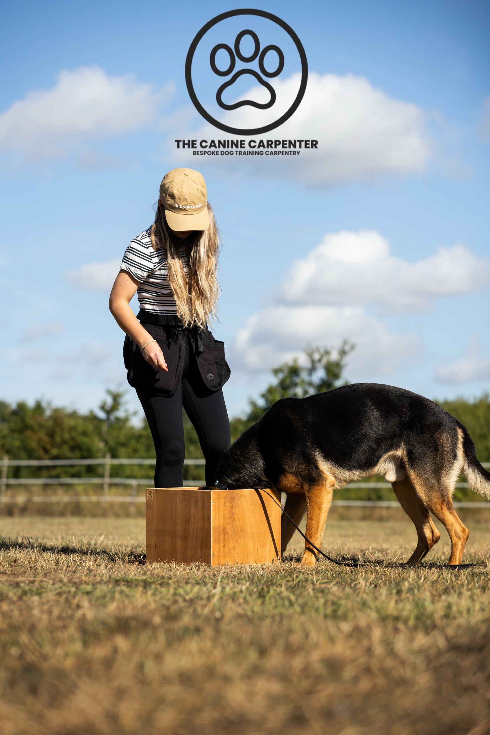 dog box feeding with dog 