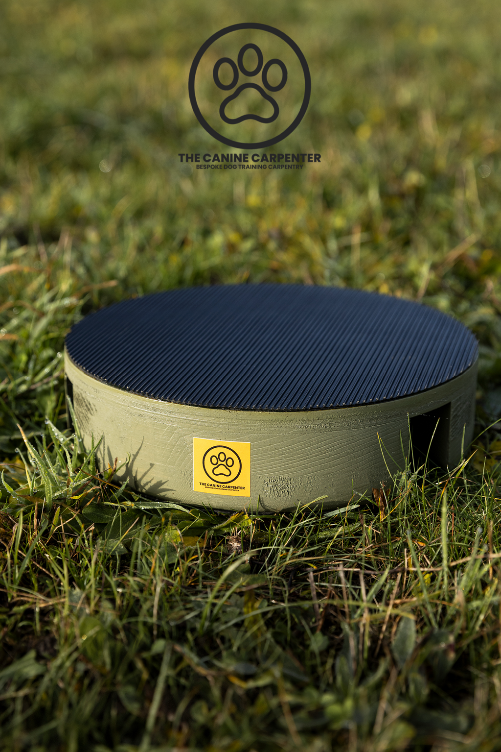 Dog Training Pivot Box