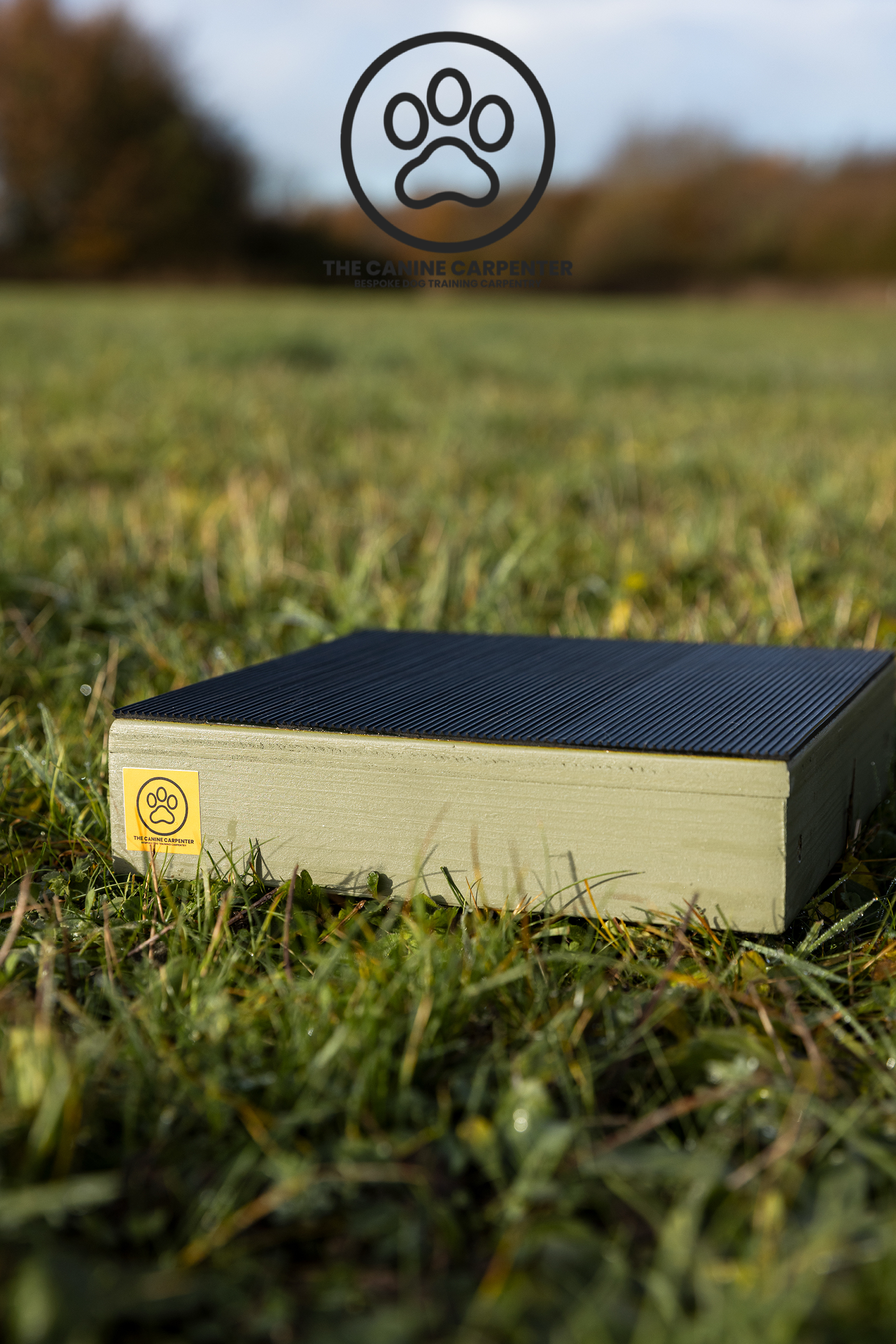 Dog Training Pivot Box