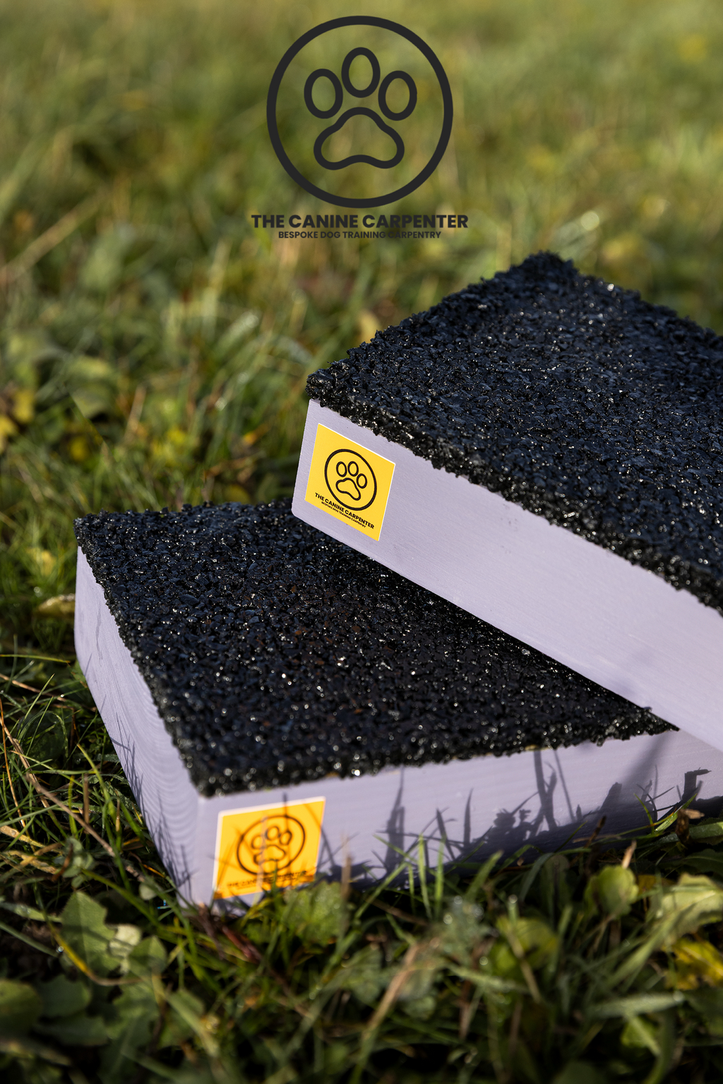 Dog Strength & Conditioning Blocks