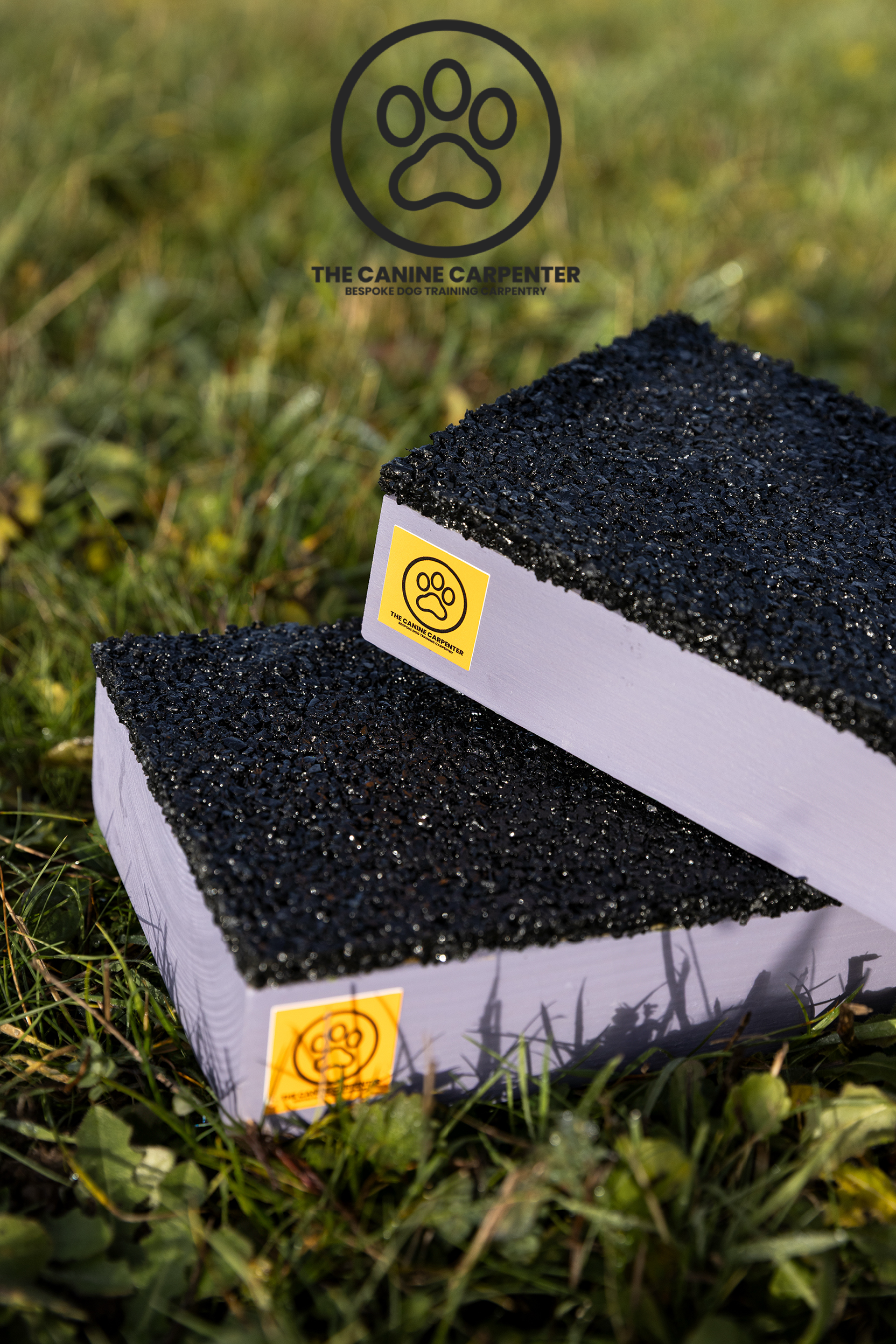 Dog Strength & Conditioning Blocks