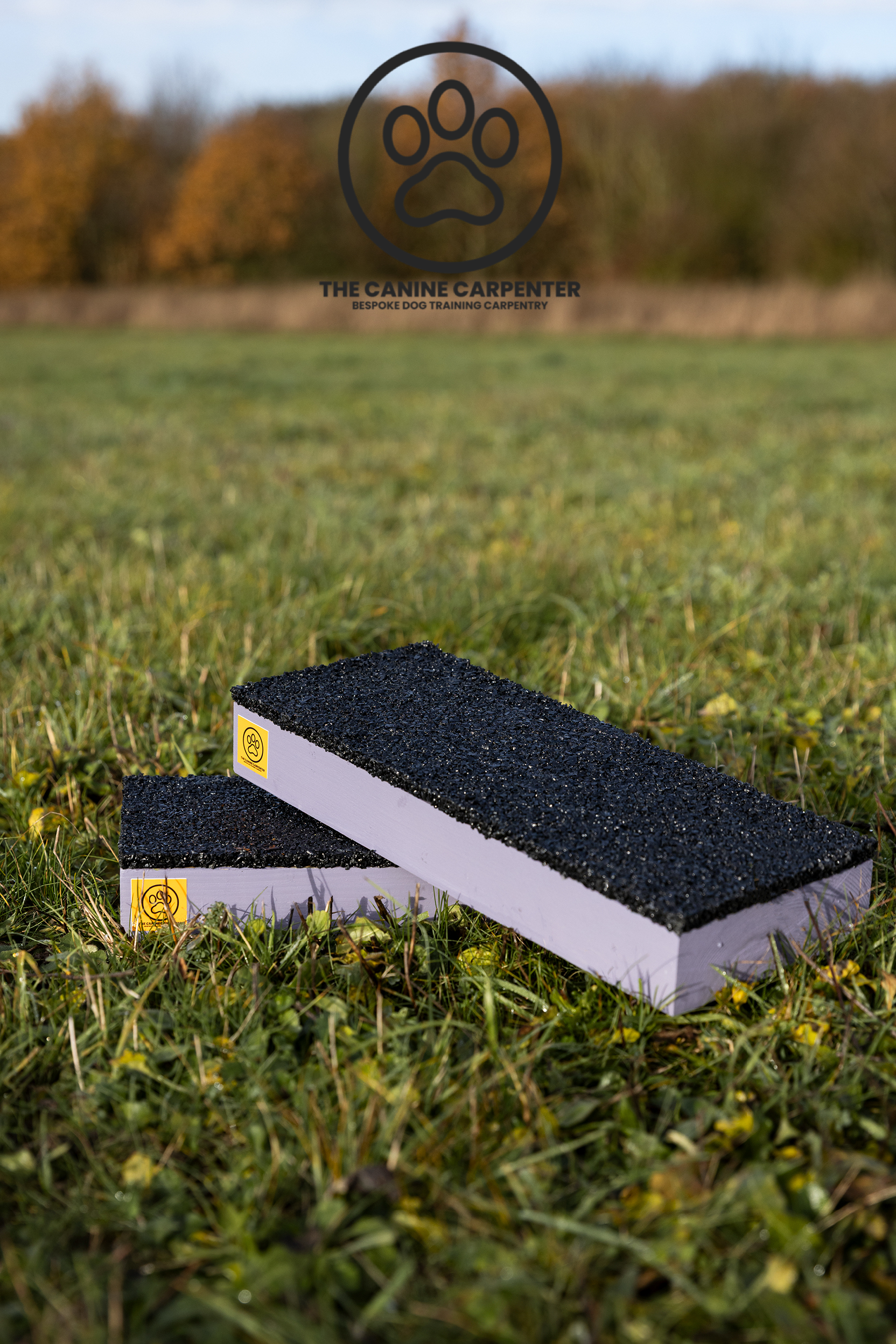 Dog Strength & Conditioning Blocks