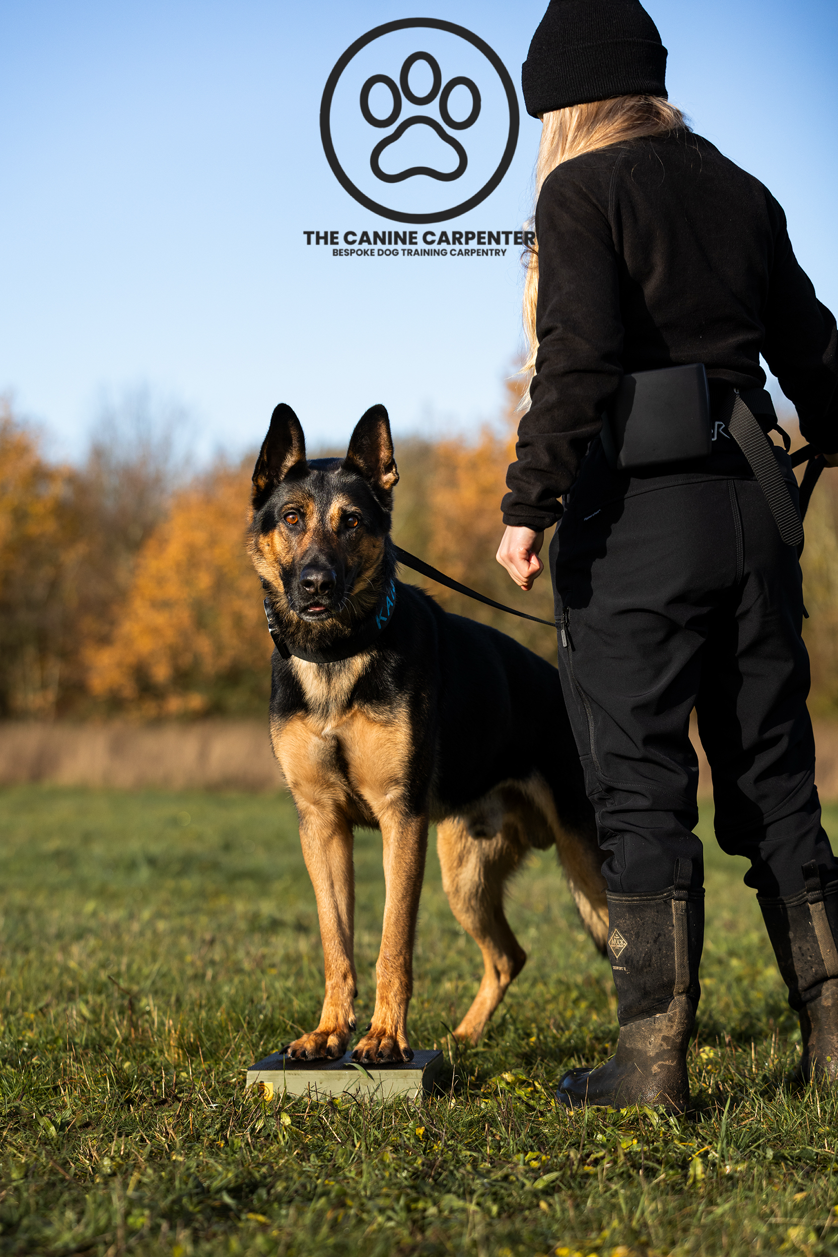 Dog Training Pivot Box