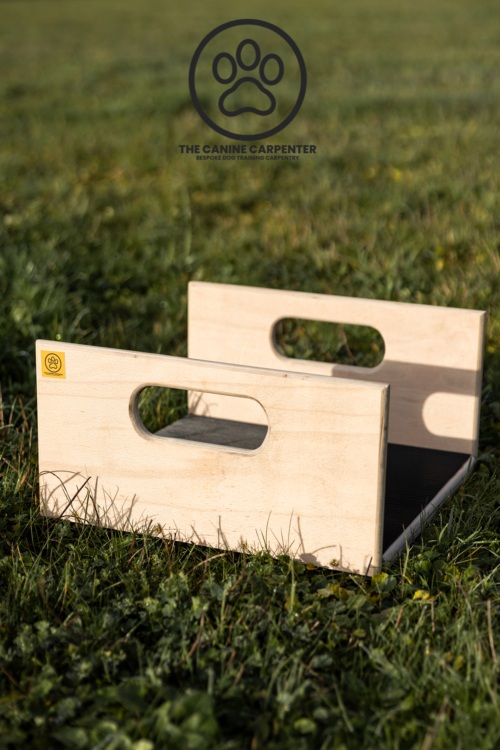 Dog Training Directional Box