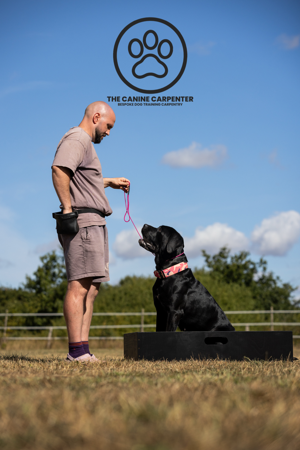 Dog Training Positions Box