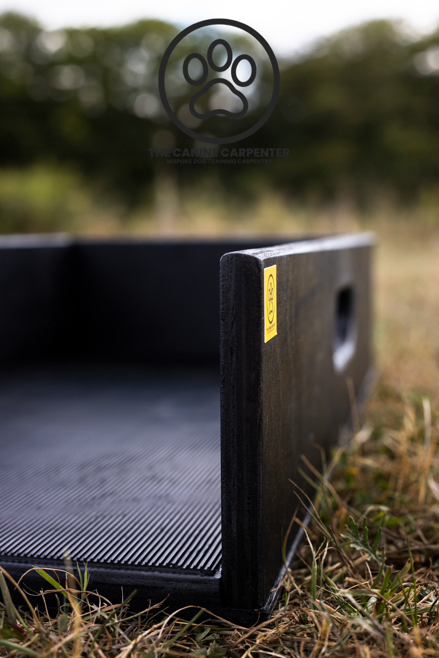 Dog Training Positions Box