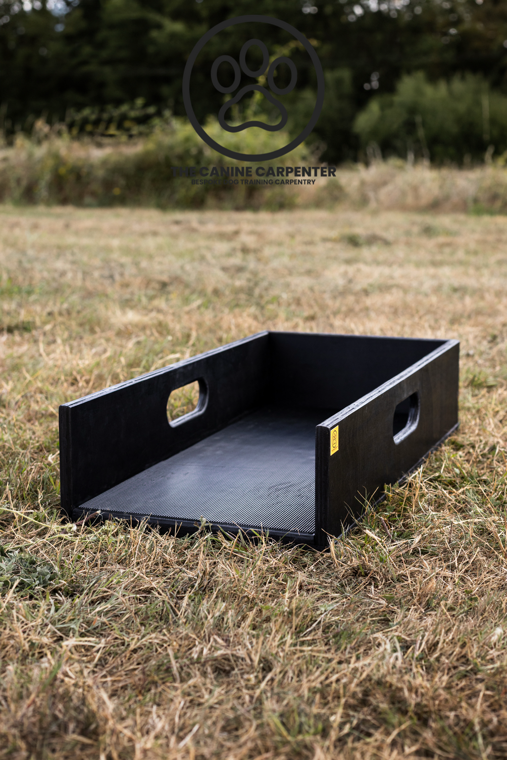 Dog Training Positions Box