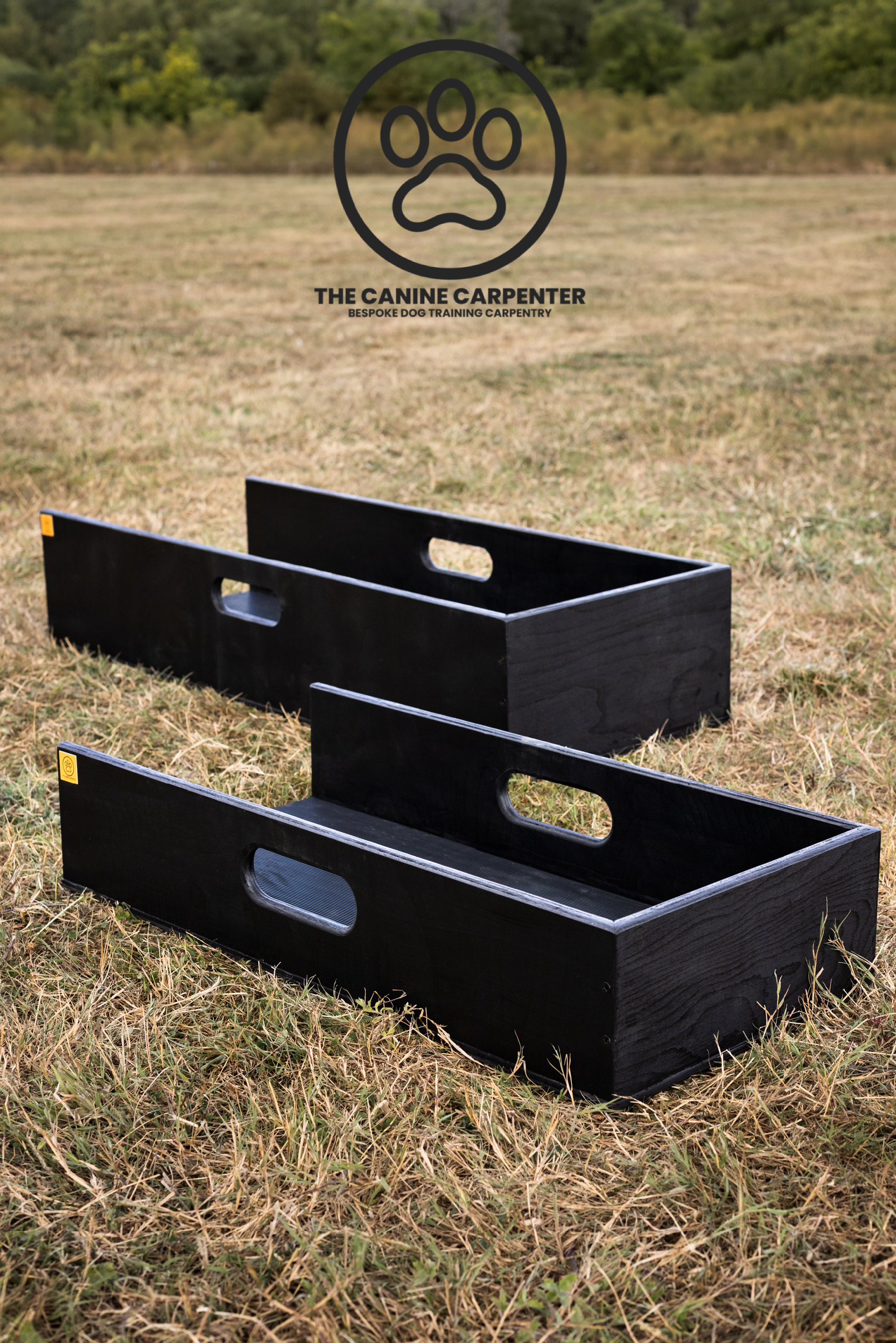 Dog Training Positions Box