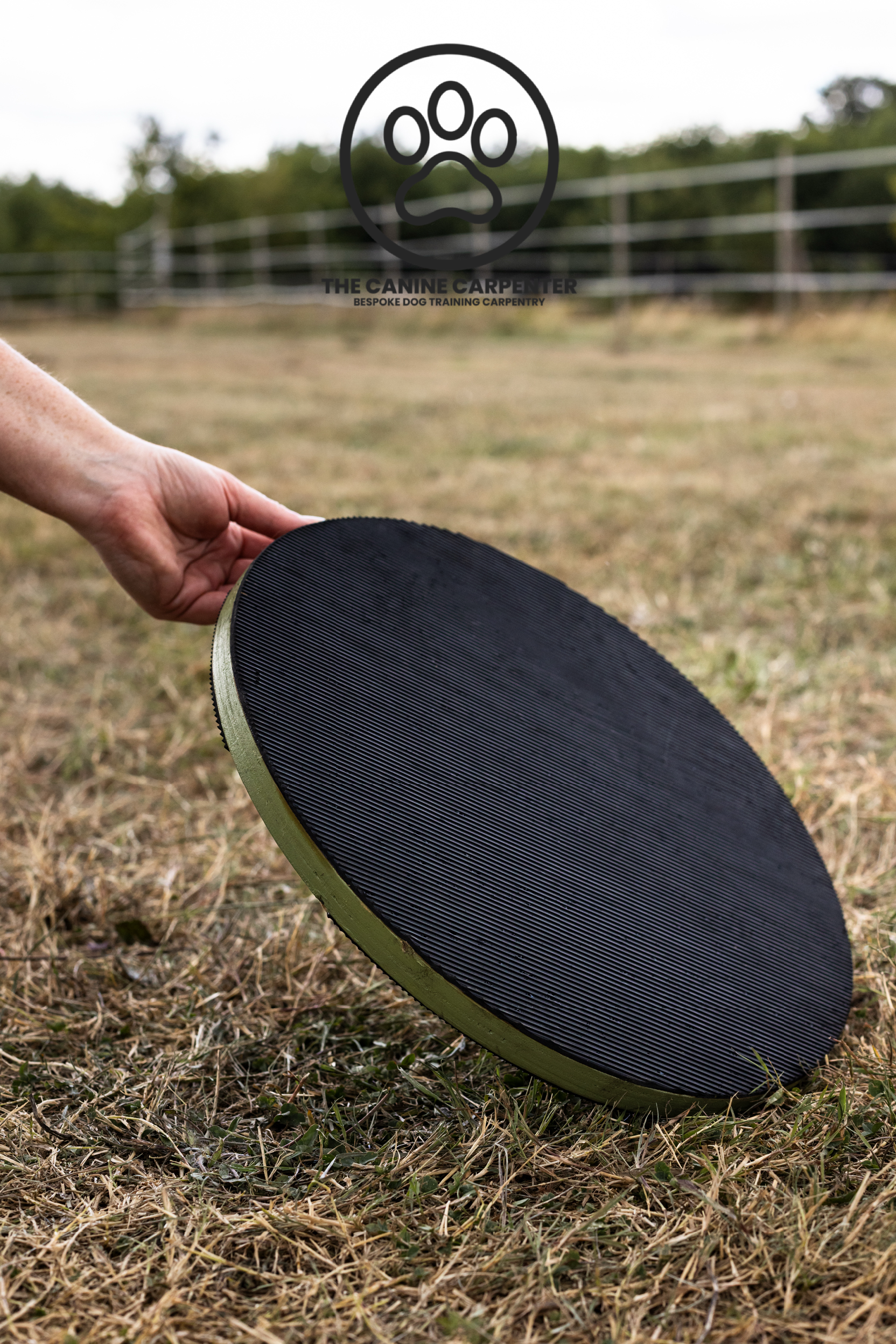 Dog Training Target Board