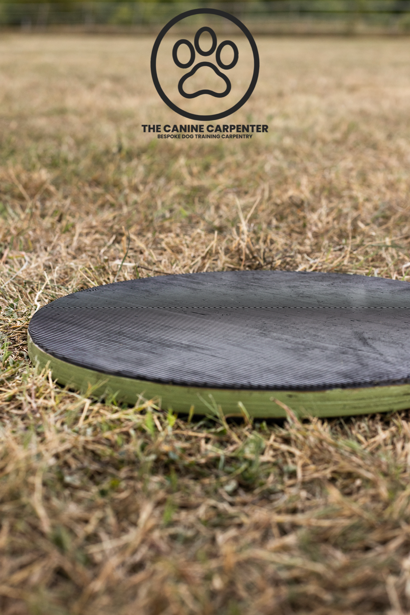 Dog Training Target Board