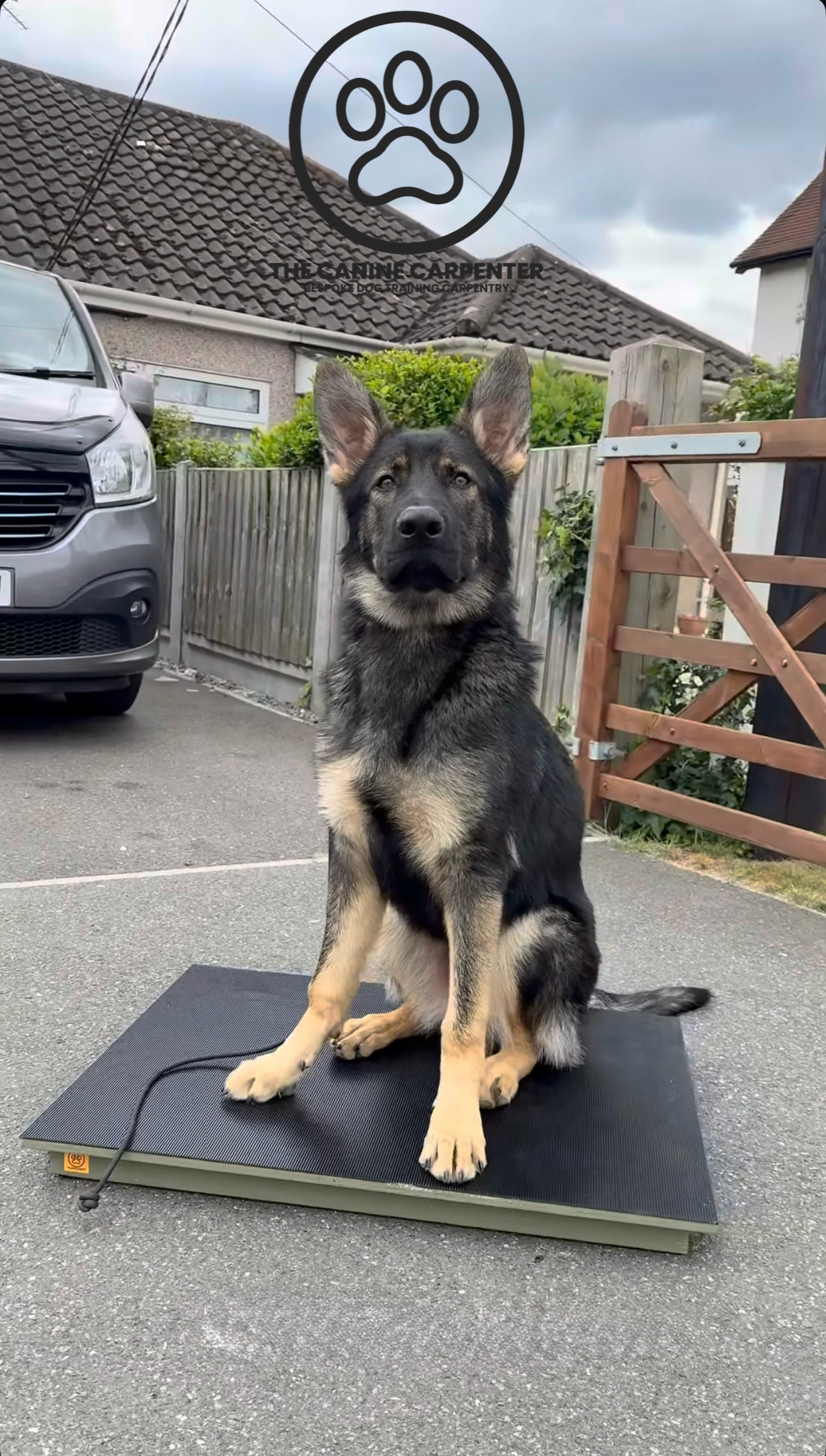 Dog Training Place Board