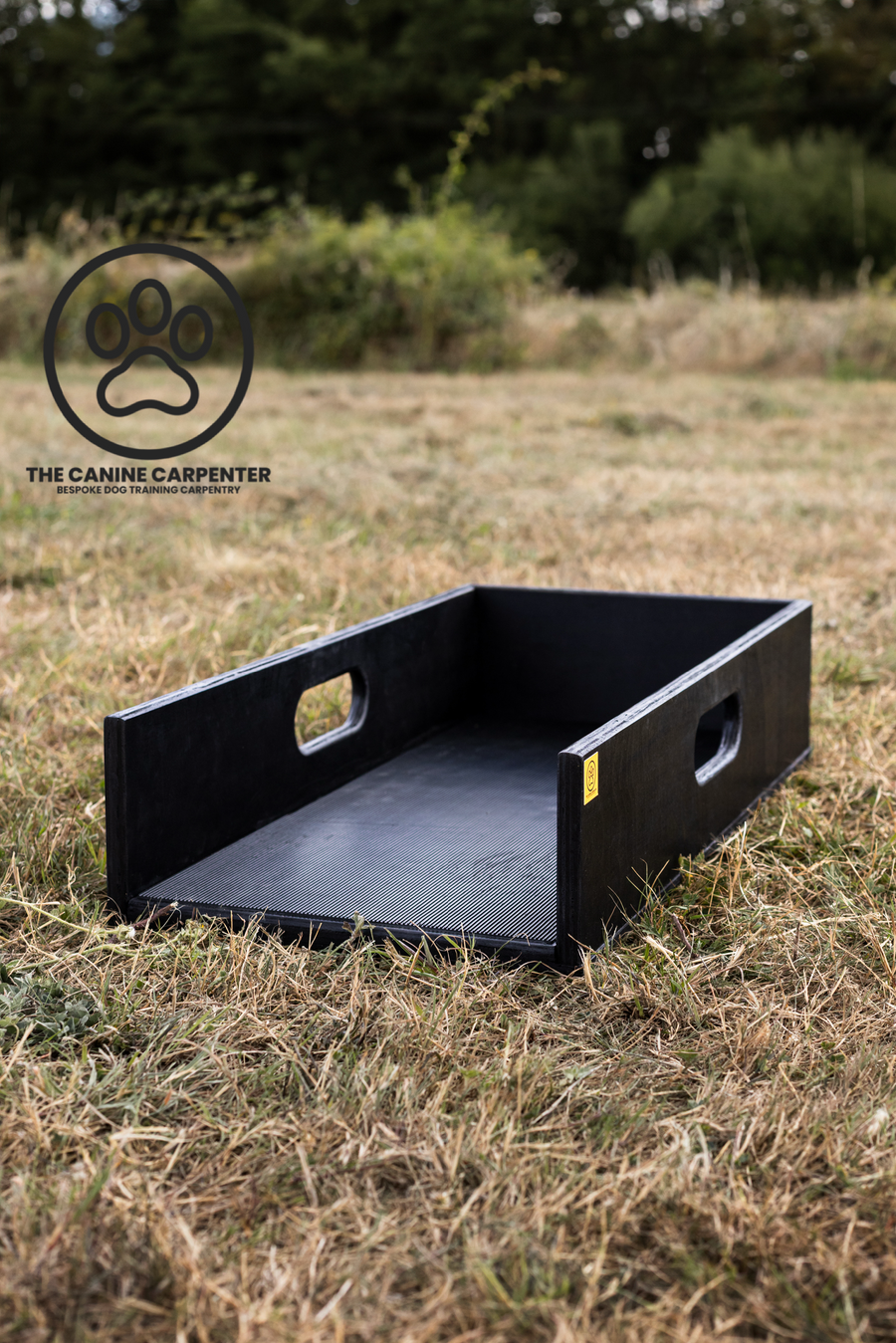 Dog Training Positions Box