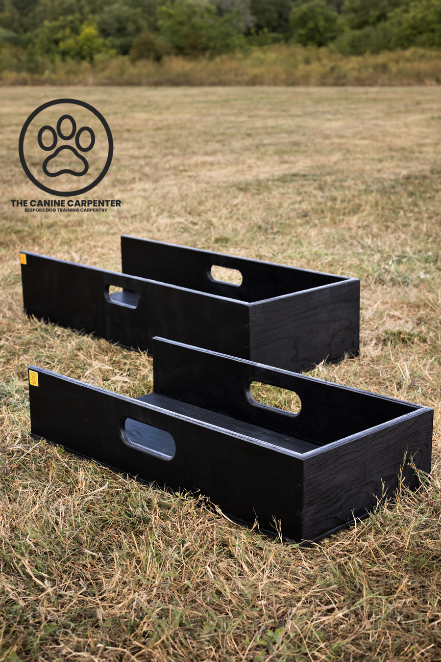 Dog Training Positions Box