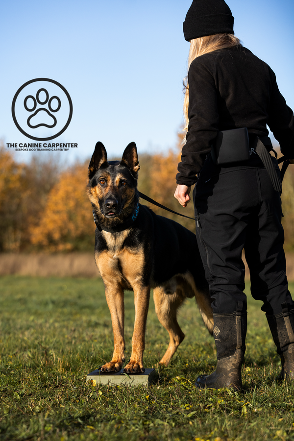 Dog Training Pivot Box