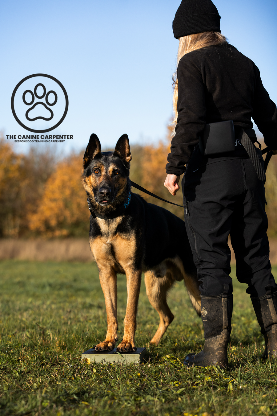 Dog Training Pivot Box