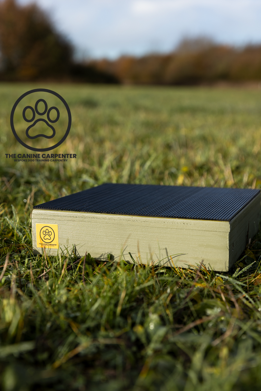 Dog Training Pivot Box