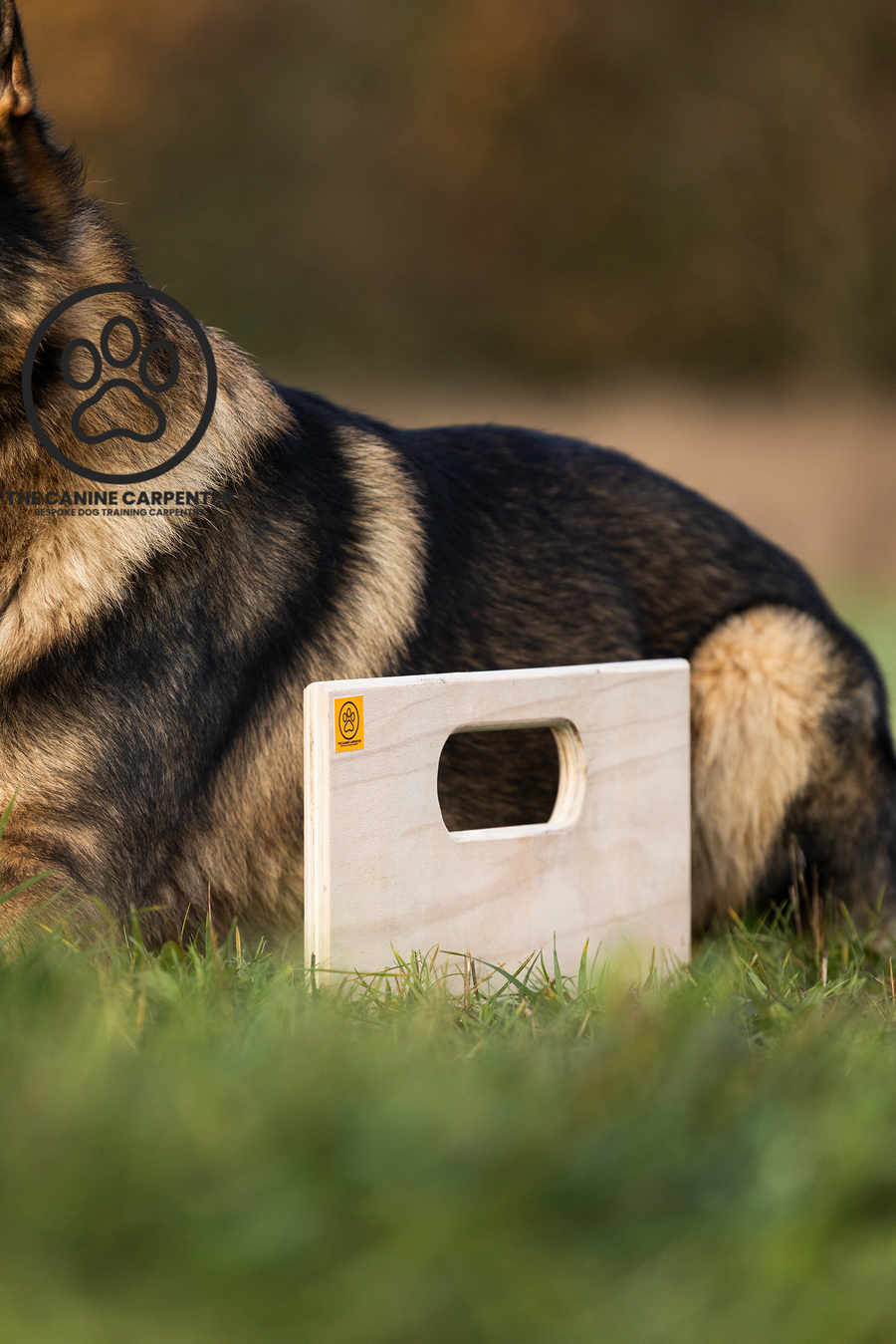 Directional Box