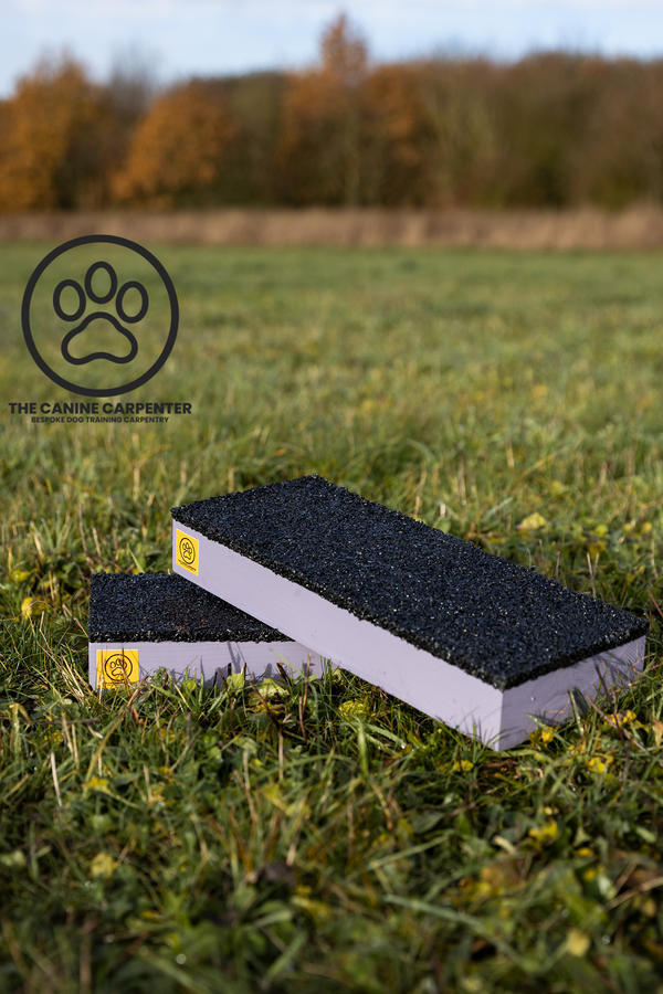 Dog Strength & Conditioning Blocks