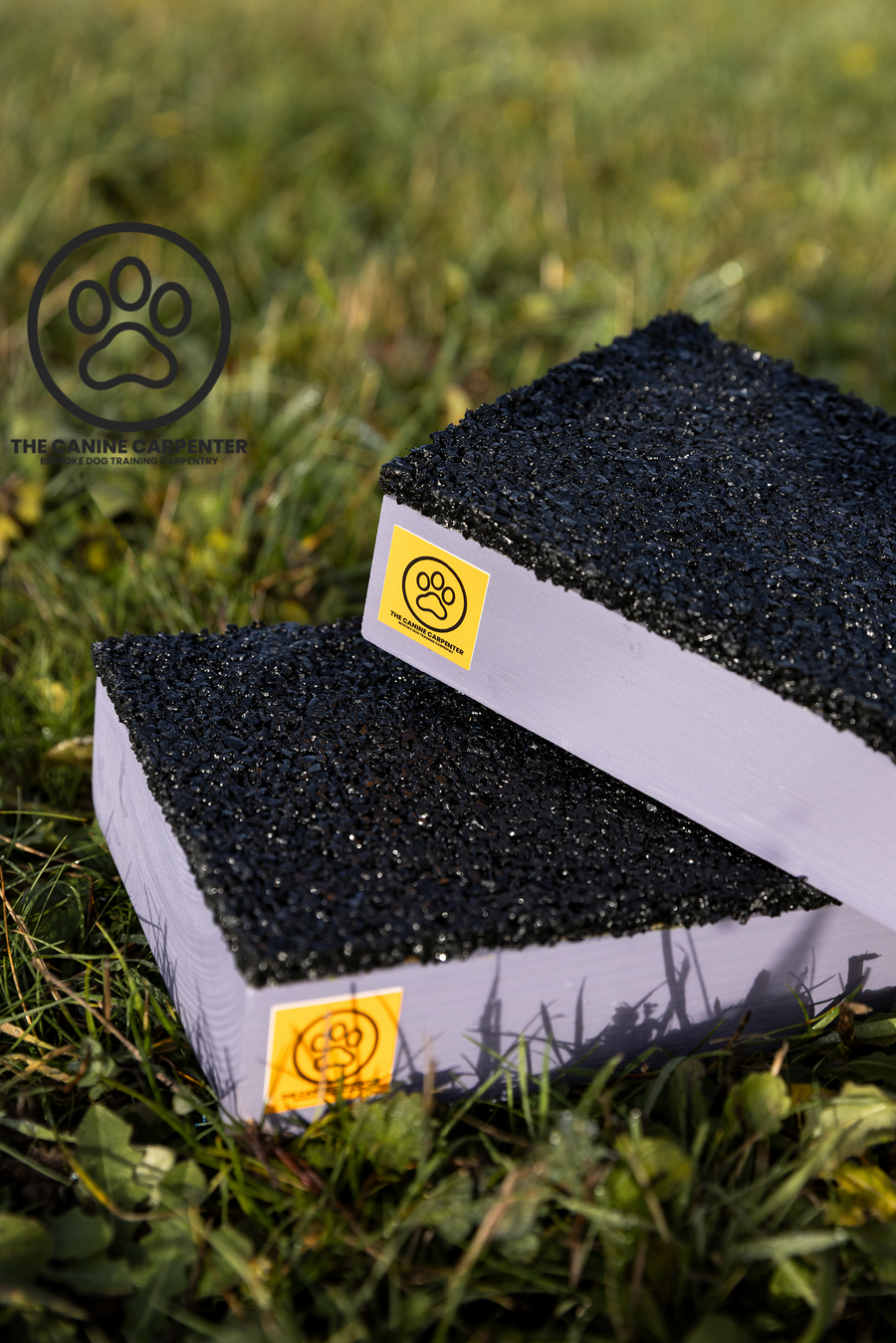 Dog Strength & Conditioning Blocks