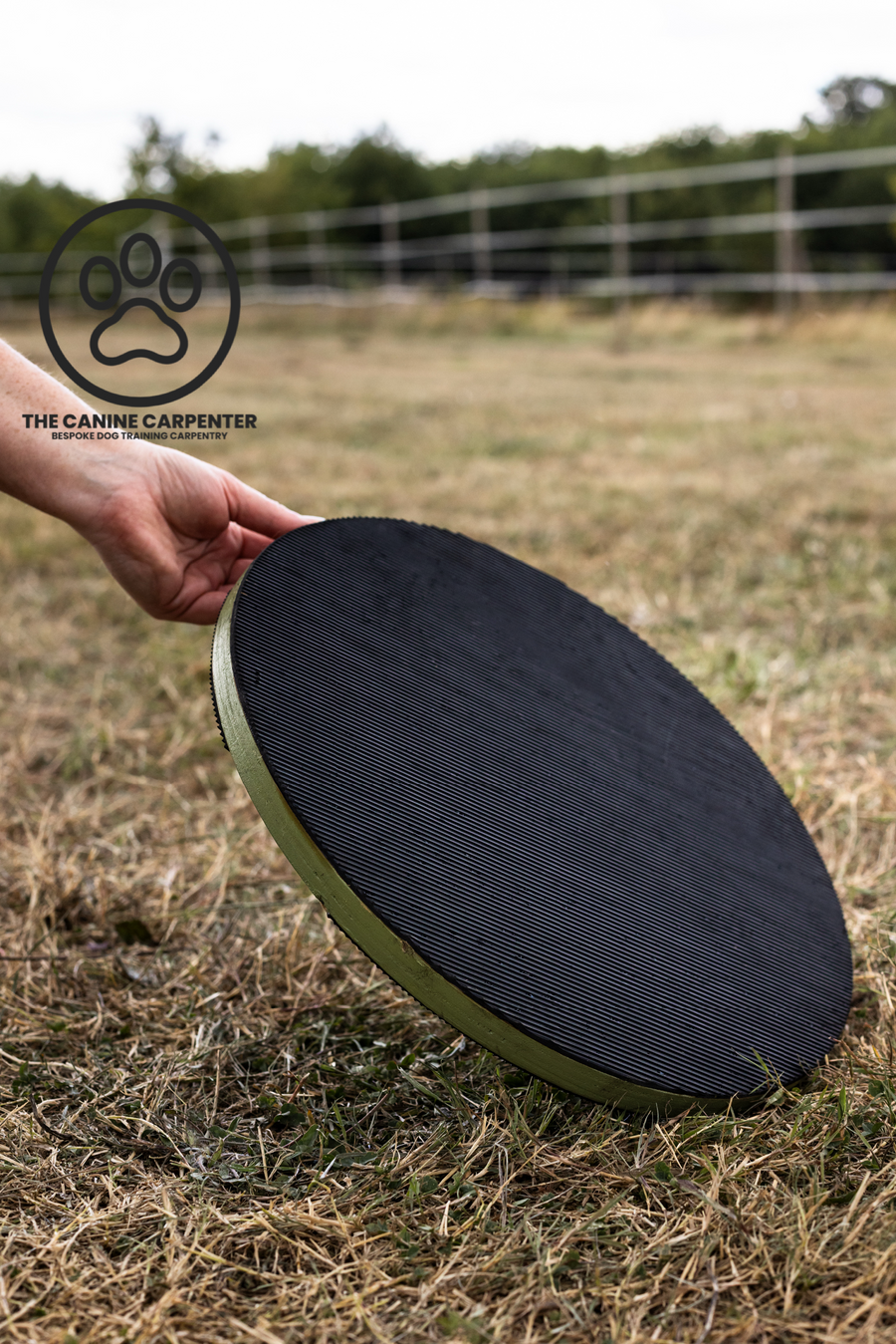 Dog Training Target Board
