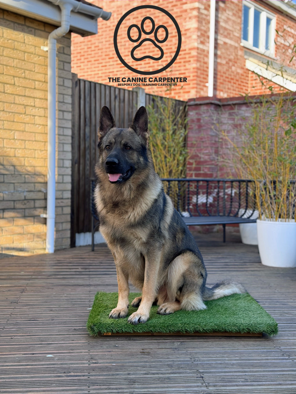 dog place board with grass top